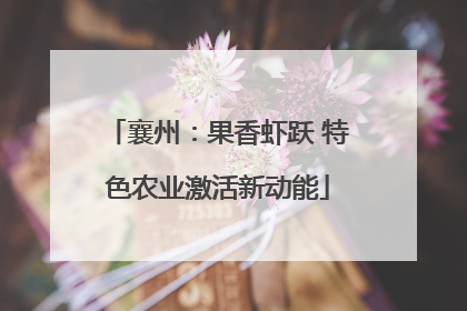 襄州：果香虾跃 特色农业激活新动能