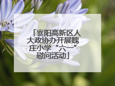 襄阳高新区人大政协办开展魏庄小学“六一”慰问活动