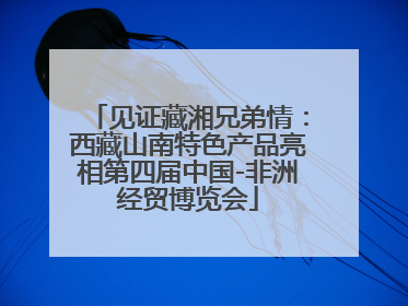 见证藏湘兄弟情：西藏山南特色产品亮相第四届中国-非洲经贸博览会
