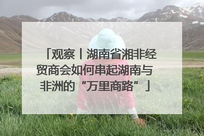 观察丨湖南省湘非经贸商会如何串起湖南与非洲的“万里商路”