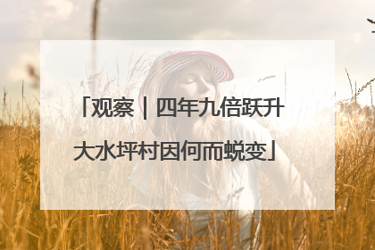 观察｜四年九倍跃升 大水坪村因何而蜕变