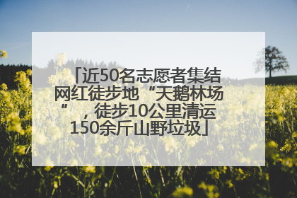 近50名志愿者集结网红徒步地“天鹅林场”，徒步10公里清运150余斤山野垃圾