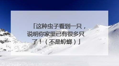 这种虫子看到一只，说明你家里已有很多只了！（不是蟑螂）
