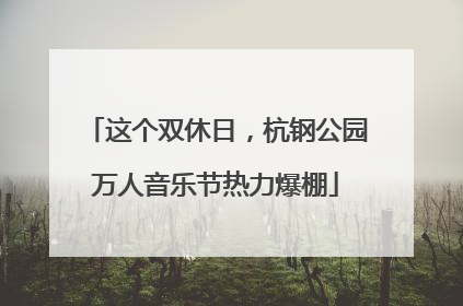 这个双休日，杭钢公园万人音乐节热力爆棚