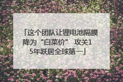 这个团队让锂电池隔膜降为“白菜价” 攻关15年跃居全球第一