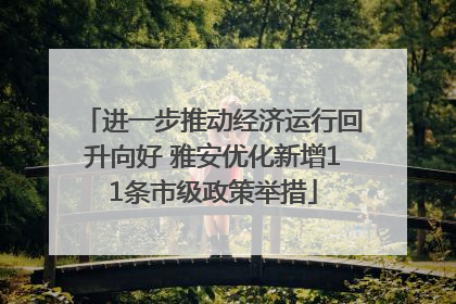 进一步推动经济运行回升向好 雅安优化新增11条市级政策举措