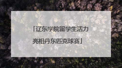 辽东学院留学生活力亮相丹东匹克球赛