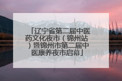 辽宁省第二届中医药文化夜市（锦州站）暨锦州市第二届中医康养夜市启幕