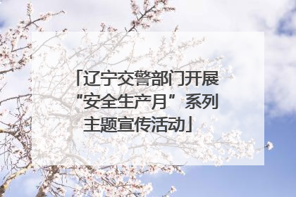 辽宁交警部门开展“安全生产月”系列主题宣传活动