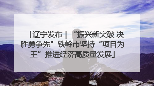 辽宁发布｜“振兴新突破 决胜勇争先”铁岭市坚持“项目为王”推进经济高质量发展