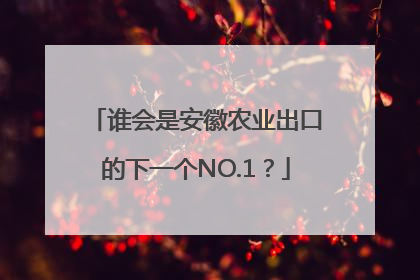 谁会是安徽农业出口的下一个NO.1？