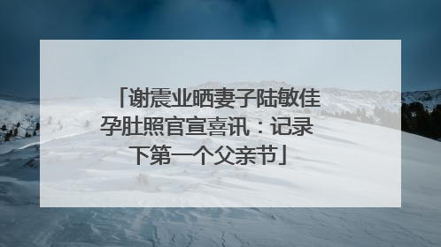 谢震业晒妻子陆敏佳孕肚照官宣喜讯：记录下第一个父亲节