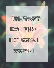 豫陕高校双擎联动 “科技+非遗”赋能潢川芡实产业