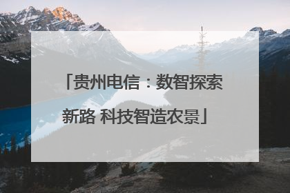 贵州电信：数智探索新路 科技智造农景