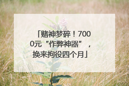 赌神梦碎！7000元“作弊神器”，换来拘役四个月