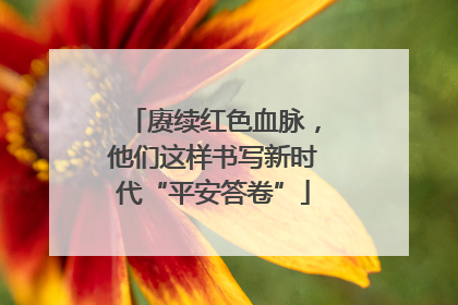 赓续红色血脉，他们这样书写新时代“平安答卷”