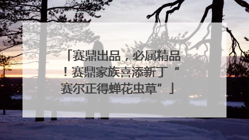 赛鼎出品，必属精品！赛鼎家族喜添新丁“赛尔正得蝉花虫草”