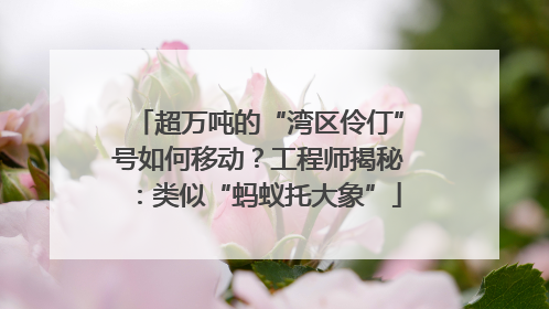 超万吨的“湾区伶仃”号如何移动？工程师揭秘：类似“蚂蚁托大象”