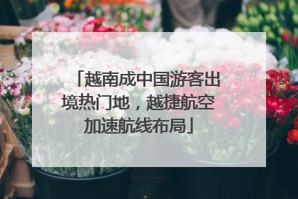 越南成中国游客出境热门地，越捷航空加速航线布局