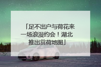 足不出户与荷花来一场浪漫约会！湖北推出赏荷地图
