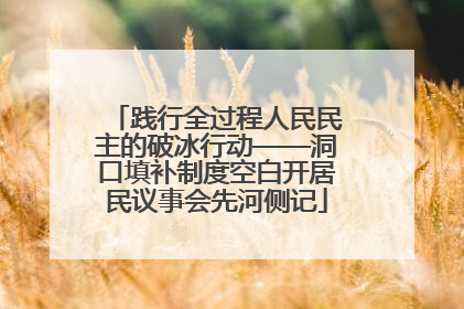 践行全过程人民民主的破冰行动——洞口填补制度空白开居民议事会先河侧记