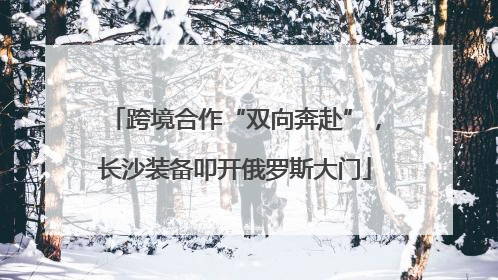 跨境合作“双向奔赴”，长沙装备叩开俄罗斯大门