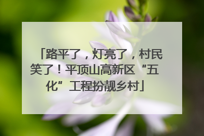 路平了，灯亮了，村民笑了！平顶山高新区“五化”工程扮靓乡村