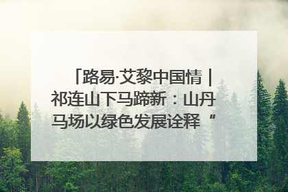 路易·艾黎中国情｜祁连山下马蹄新：山丹马场以绿色发展诠释“两山”理论实践