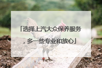 选择上汽大众保养服务，多一些专业和放心