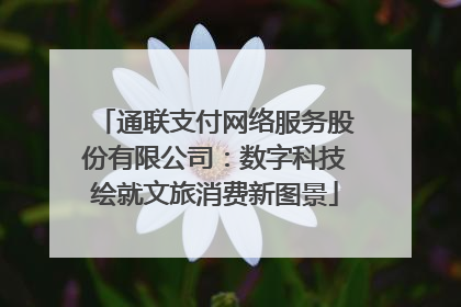 通联支付网络服务股份有限公司：数字科技绘就文旅消费新图景