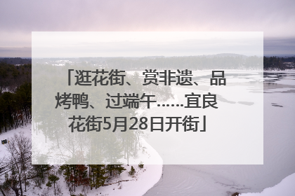 逛花街、赏非遗、品烤鸭、过端午……宜良花街5月28日开街