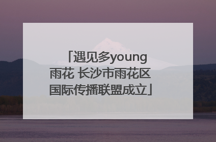 遇见多young雨花 长沙市雨花区国际传播联盟成立