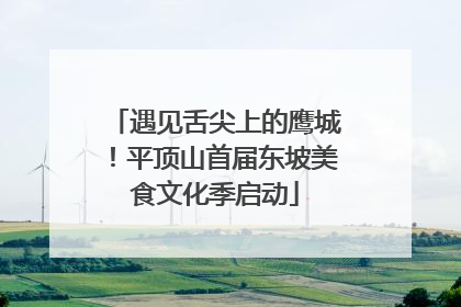 遇见舌尖上的鹰城！平顶山首届东坡美食文化季启动
