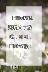 遭网友质疑玩文字游戏，刚刚，白象致歉！