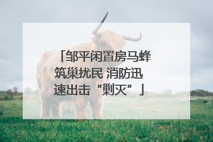 邹平闲置房马蜂筑巢扰民 消防迅速出击“剿灭”