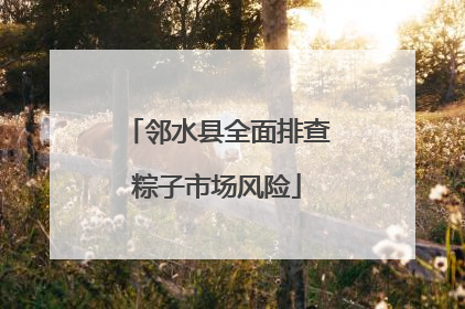 邻水县全面排查粽子市场风险