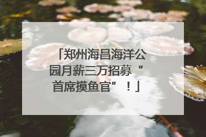 郑州海昌海洋公园月薪三万招募“首席摸鱼官”！
