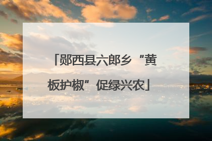 郧西县六郎乡“黄板护椒”促绿兴农