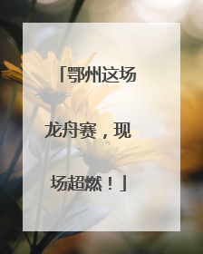 鄂州这场龙舟赛，现场超燃！