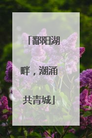 鄱阳湖畔，潮涌共青城