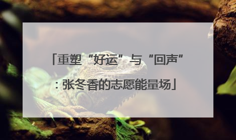 重塑“好运”与“回声”：张冬香的志愿能量场