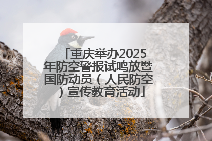 重庆举办2025年防空警报试鸣放暨国防动员（人民防空）宣传教育活动
