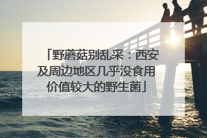 野蘑菇别乱采：西安及周边地区几乎没食用价值较大的野生菌