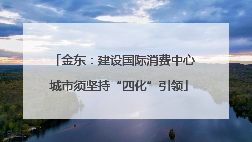 金东：建设国际消费中心城市须坚持“四化”引领