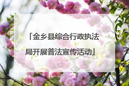 金乡县综合行政执法局开展普法宣传活动