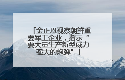 金正恩视察朝鲜重要军工企业，指示“要大量生产新型威力强大的炮弹”
