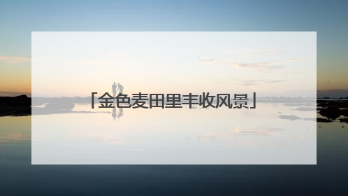 金色麦田里丰收风景