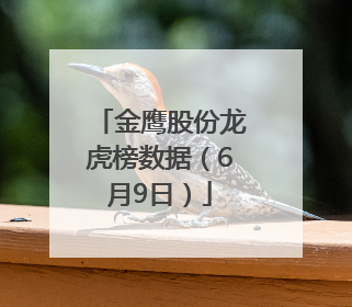 金鹰股份龙虎榜数据（6月9日）