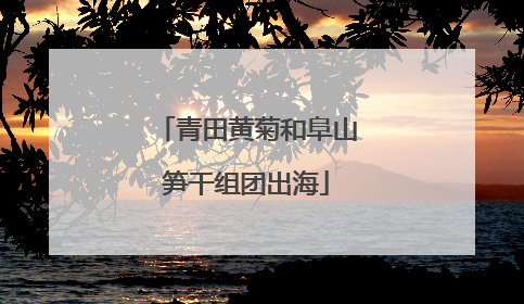 青田黄菊和阜山笋干组团出海