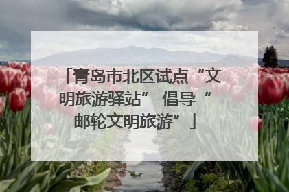 青岛市北区试点“文明旅游驿站” 倡导“邮轮文明旅游”